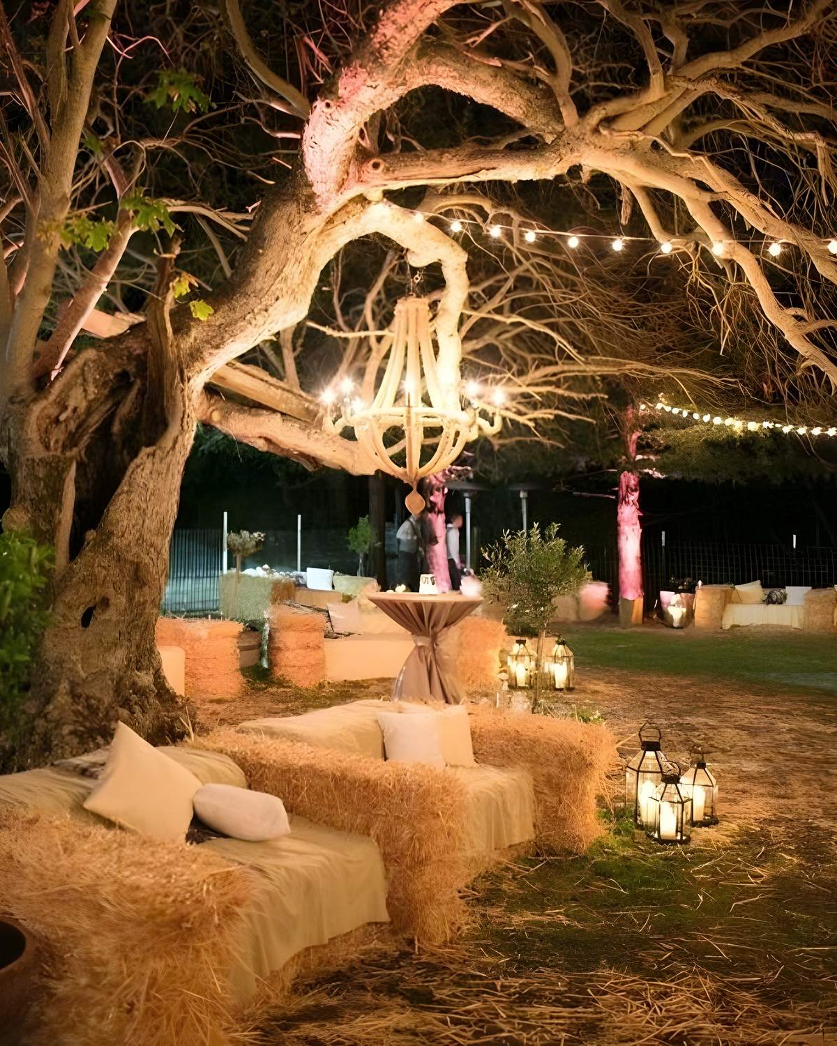 Salon de bottes de paille sous un olivier illuminé, avec un lustre et des lanternes, le soir.